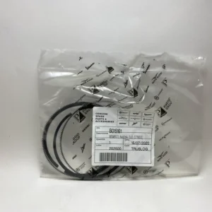 Segmento raspador d75X2 5